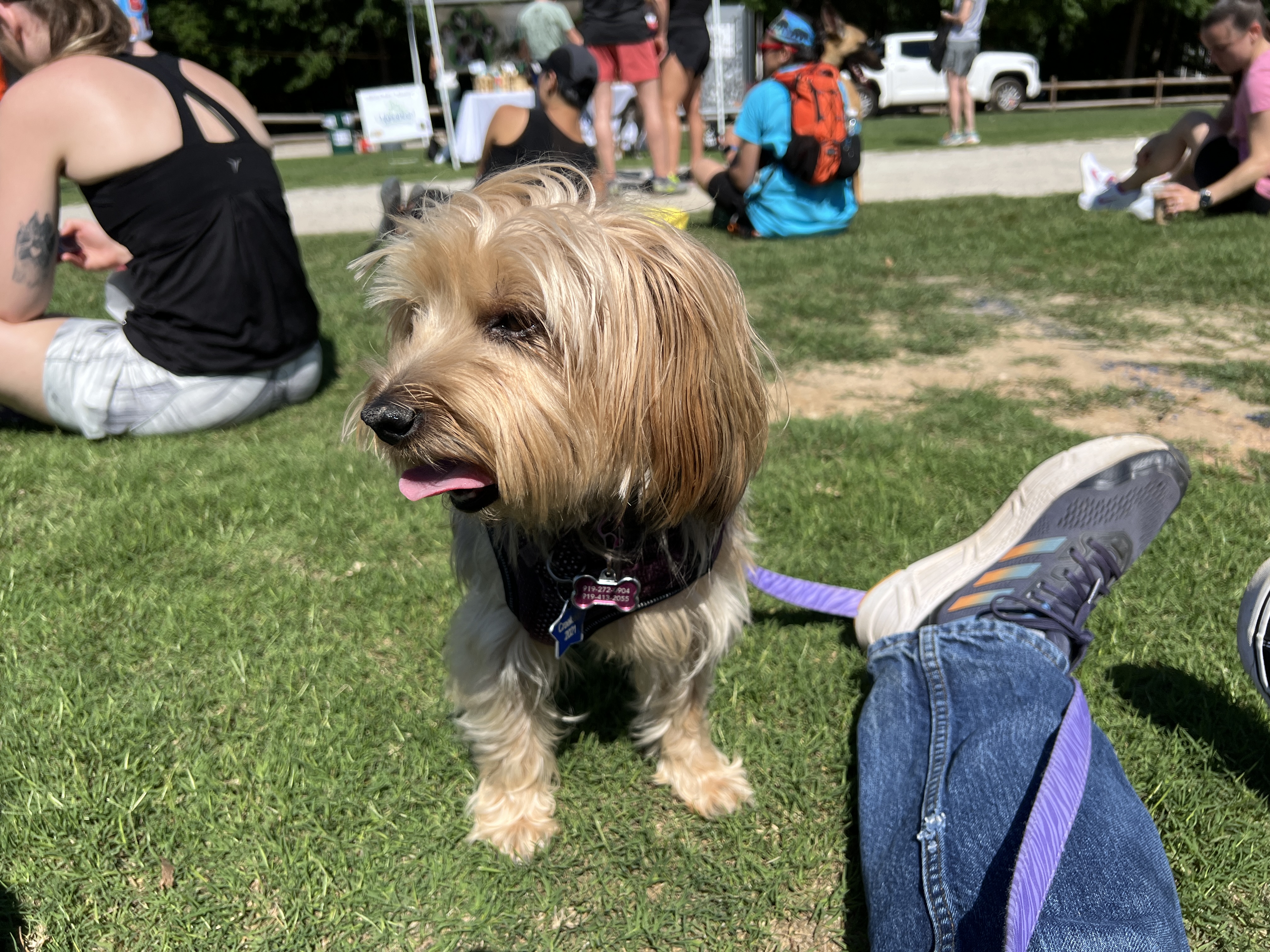 ./2025/05 - Second Chance Race for Rescues/IMG_5658.JPG